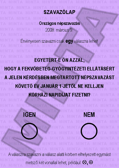 Stimmzettel hu012008-zettel.jpg