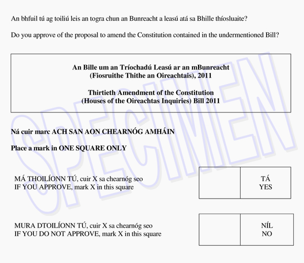 Ballot paper ie022011-zettel.jpg